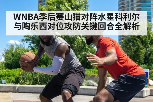 basketball defense matchup