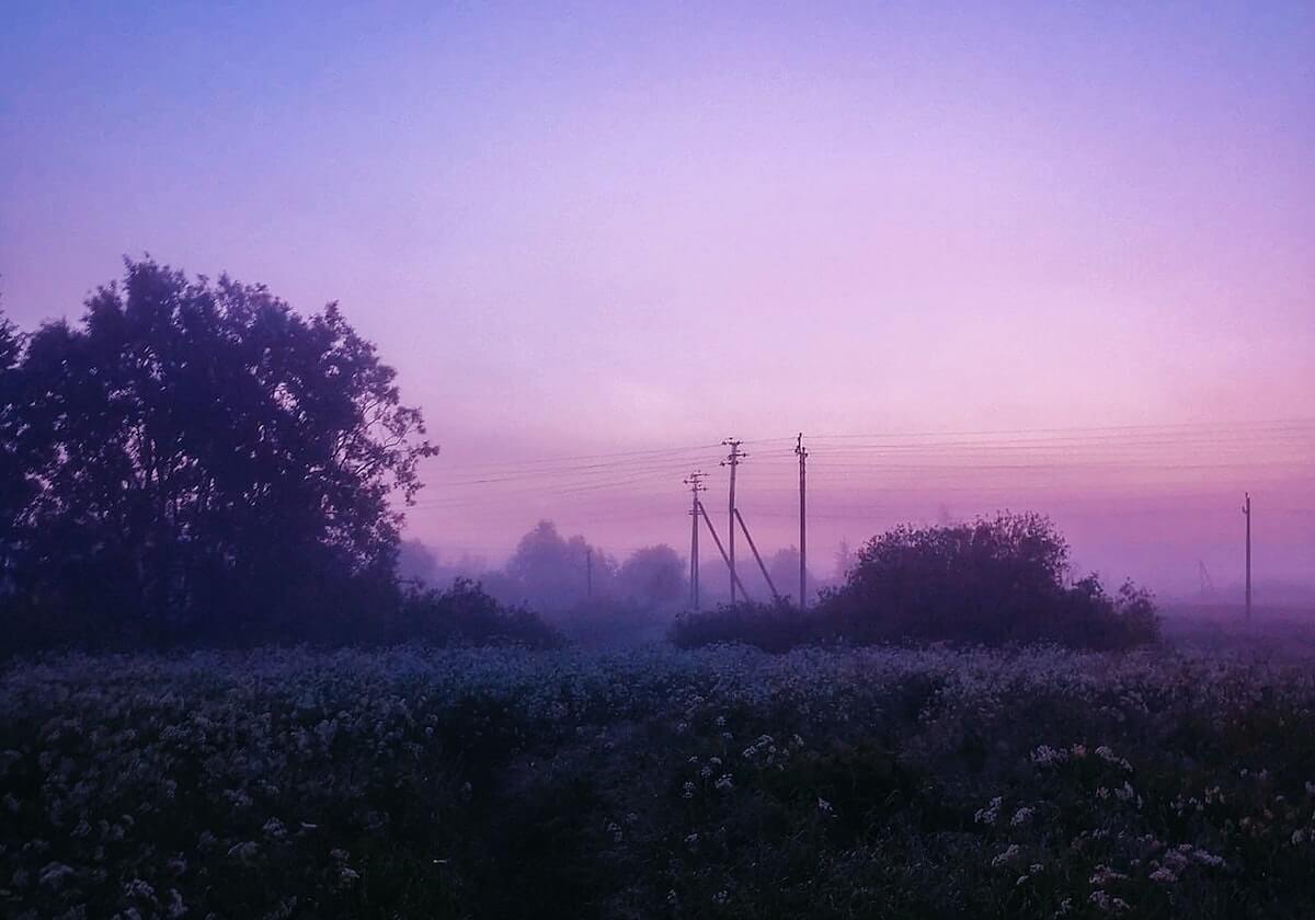 开云体育真人-雷鸟：家庭已融入中国生活 中国人比日本人更热情